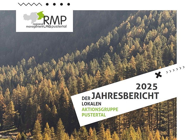 Rapporto annuale 2025