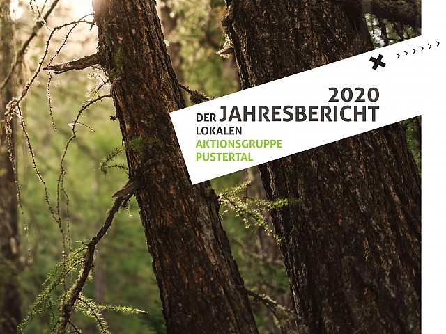 Jahresbericht 2020