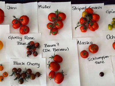 Biodiversità delle specie coltivate in Val Pusteria