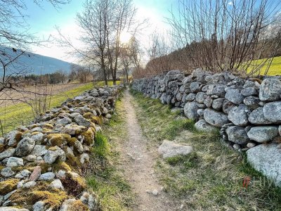 Valorizzazione del Sentiero Pfaffensteig a Falzes