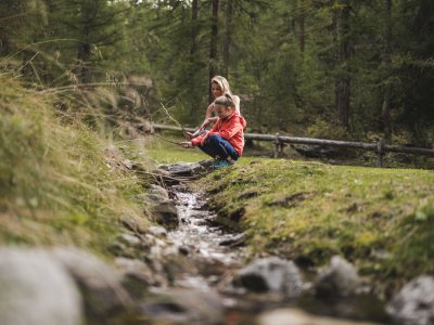 Zone Umide nel territorio Dolomiti Live